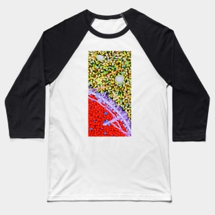 Red blood cell, artwork (P242/0369) Baseball T-Shirt